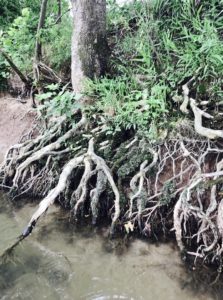 Tahlehquah Yoga Studio